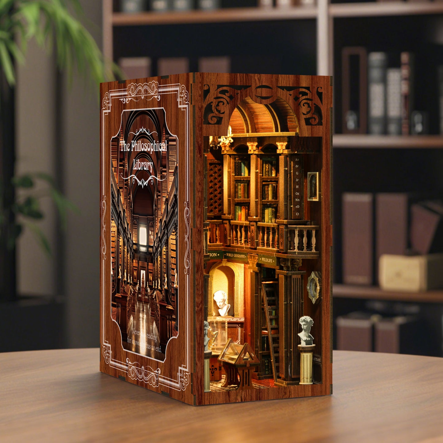 TJWFUNFUN The Philosophical Library DIY Book Nook Kit, 430PCS Wooden Miniature Bookshelf Diorama with LED Lights – Difficulty ★★★